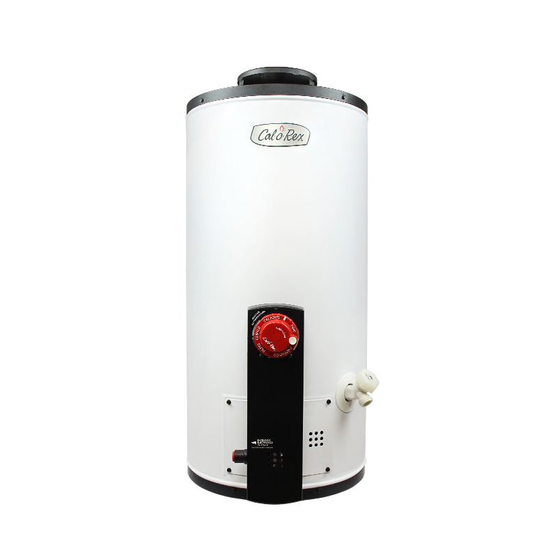 Calentador de Agua de Depósito IUSA Enerhit 40LT de 1 Servicio Gas LP