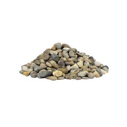 Frijolillo Reynosa Frijolillo Reynosa